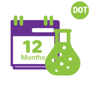 DOT Stand Alone Random Testing Management Per Year